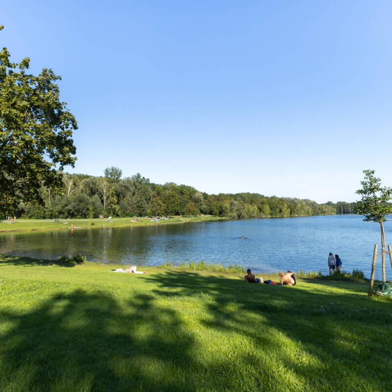 Auwaldsee Lauingen
