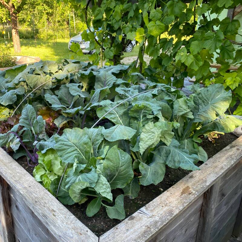 Gartenkurs 