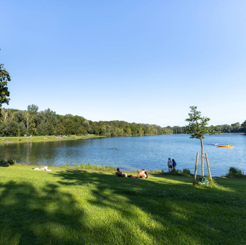 Auwaldsee Lauingen