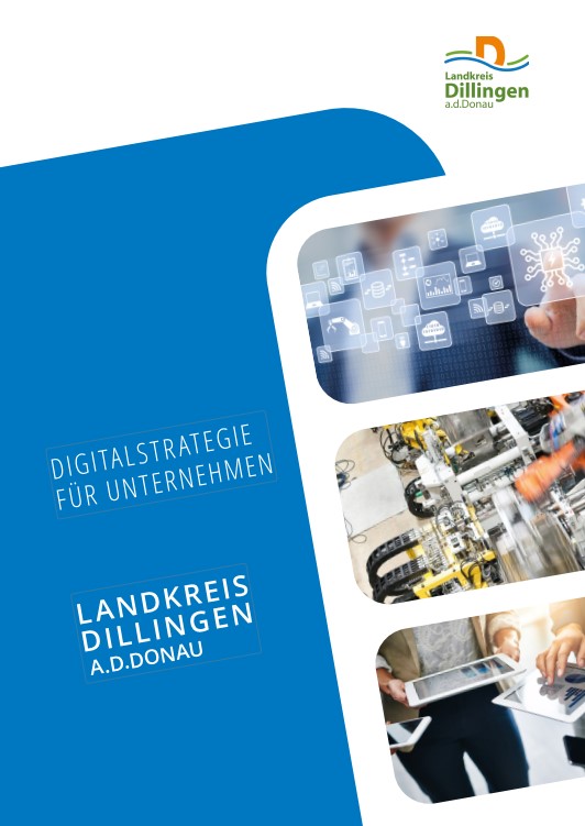 Digitalstrategie für Unternehmen (Titelseite)
